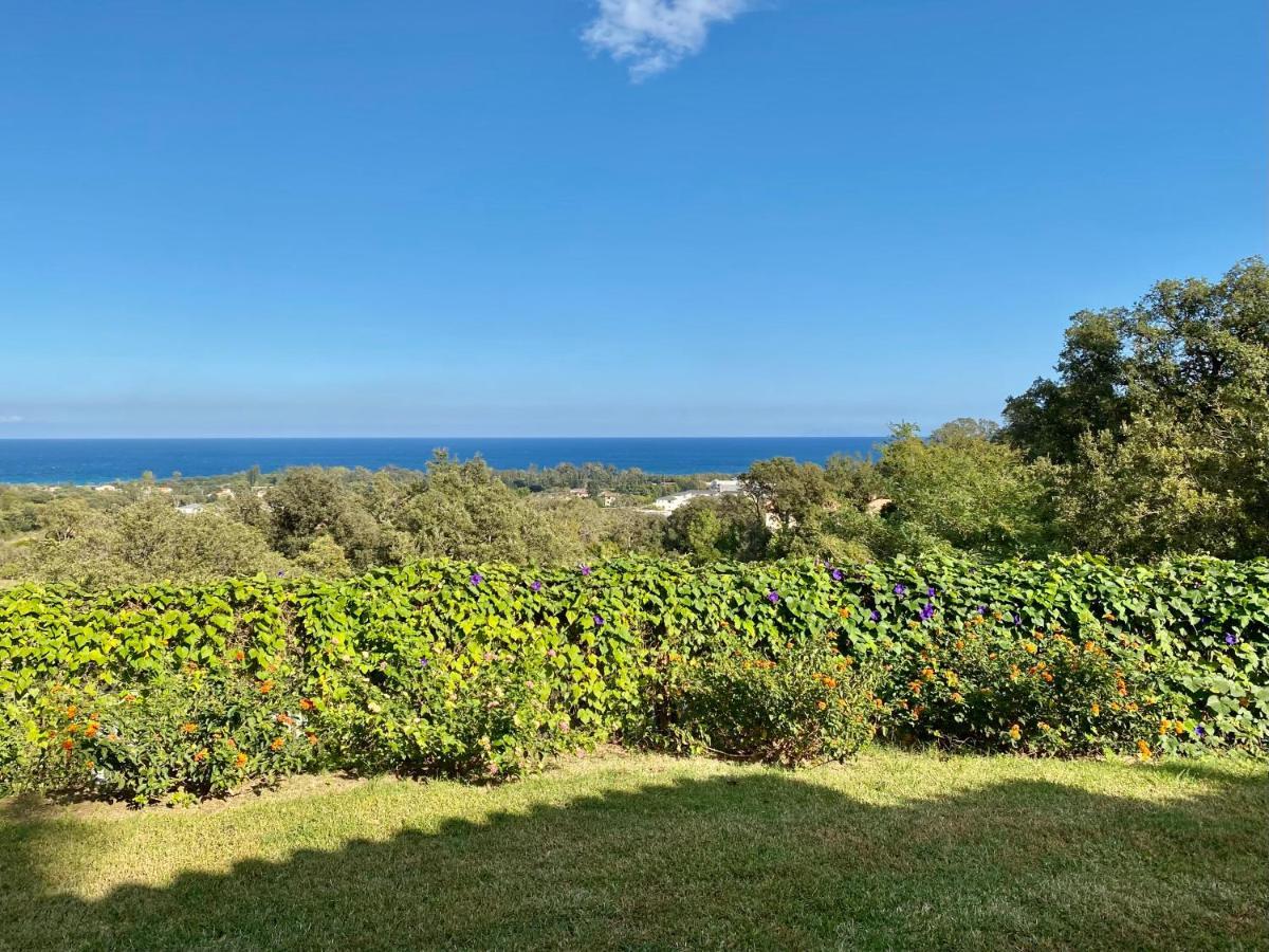 Domaine Punta Della Guardia Villa Panorama Maquis Et Mer, Plage A 1,5 Km Cervione Bagian luar foto